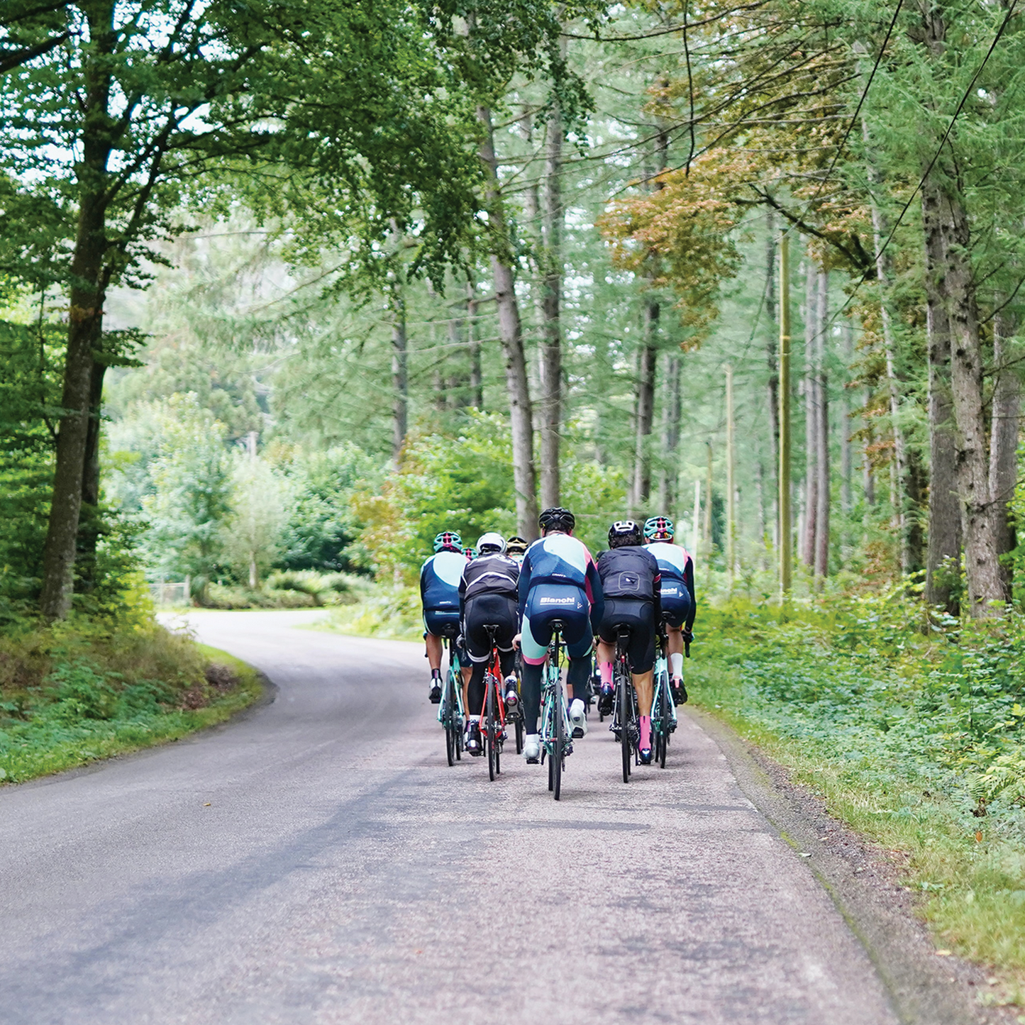 Rouleur Cyclist Group Road